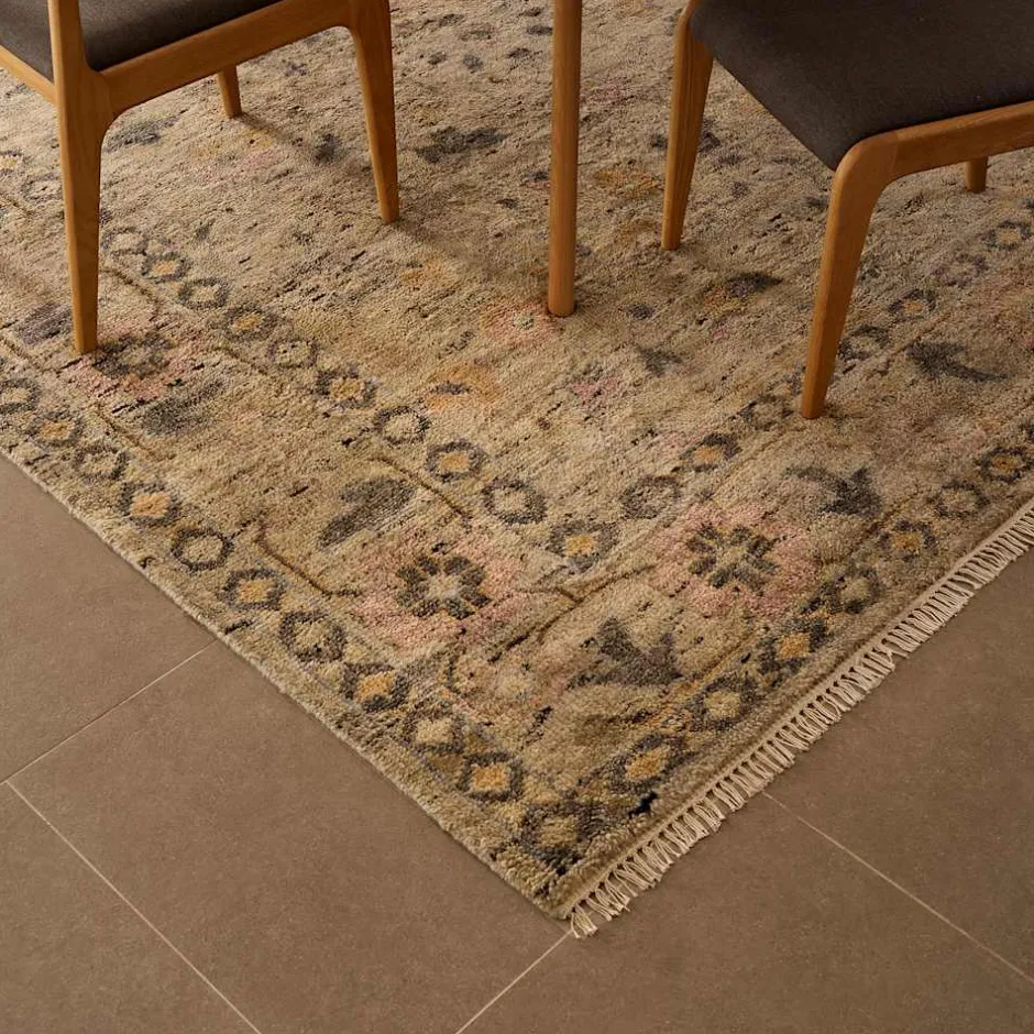 Discount Bardez Area Rug Rugs