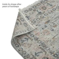 Discount Bardez Area Rug Rugs