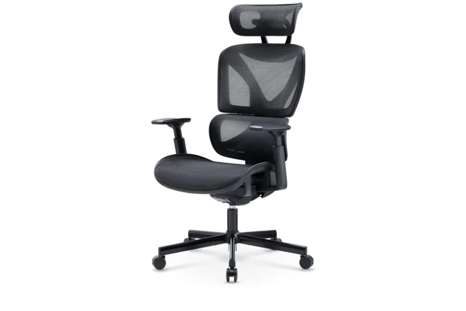Fashion Ellis High-Back Office Chair Office Chairs