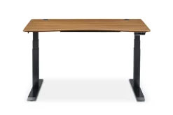 Best Emmerson Adjustable Standing Desk Desks
