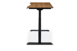 Best Emmerson Adjustable Standing Desk Desks