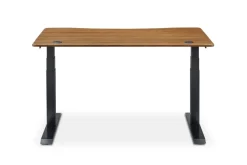 Best Emmerson Adjustable Standing Desk Desks