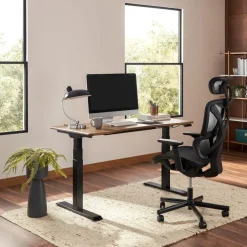 Best Emmerson Adjustable Standing Desk Desks