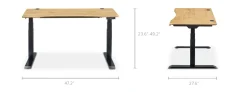 Clearance Emmerson Adjustable Standing Desk, Oak Desks