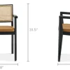 Online Sloane Cane and Leather Chair Dining Chairs