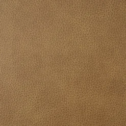 Online Sloane Cane and Leather Chair Dining Chairs