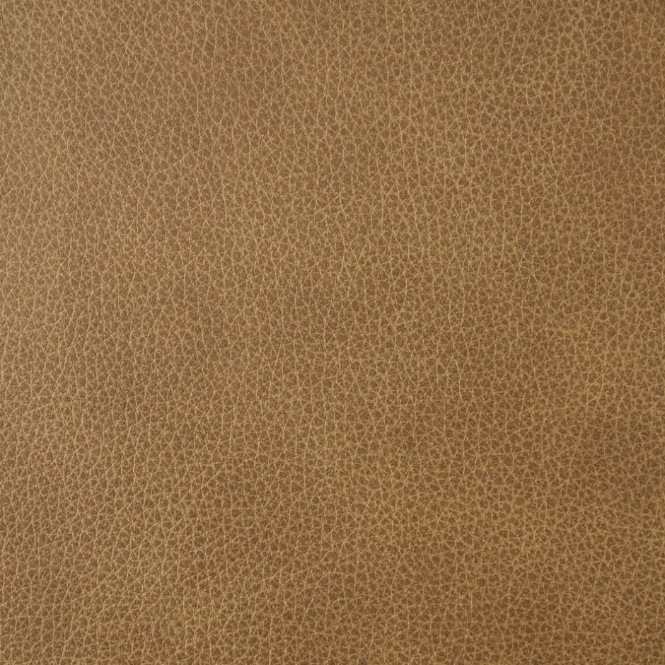 Online Sloane Cane and Leather Chair Dining Chairs