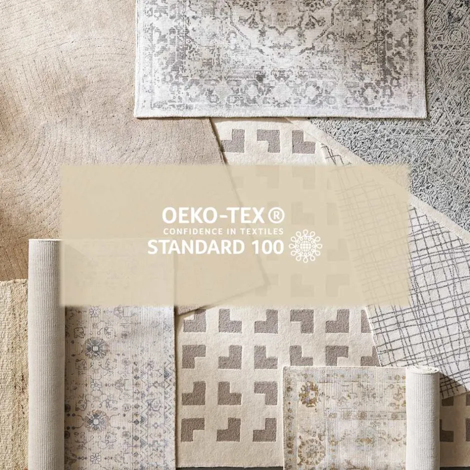Fashion Zeke Area Rug Rugs